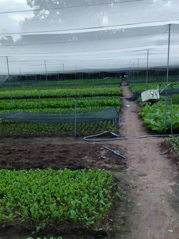 CÔNG TY TNHH THỰC PHẨM HAPPY FARM